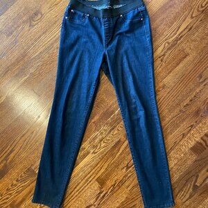 INC. International Concepts Dark Wash Elastic Waist Jeans - Size 12/14